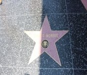 2014 LA CA WalkofFame 028